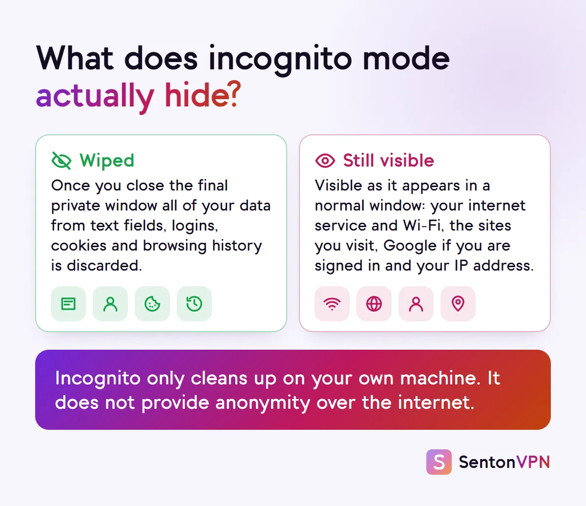 Diagram: incognito mode wipes your form entries, logins, cookies and browsing history, while your IP address, the sites you visit, your network and Google if signed in stay visible